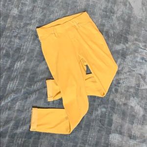 Yellow jagging‘s